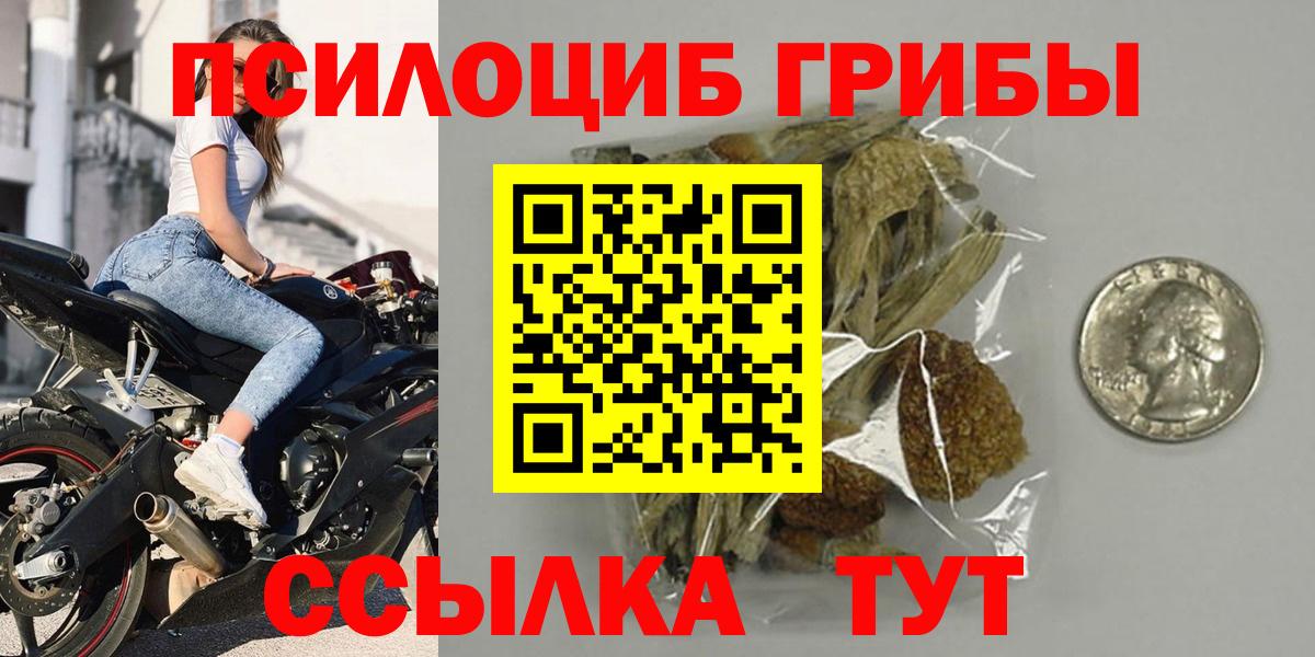 Дзержинск  Галлюциногенные грибы Magic Shrooms  Вход с VPN  Галлюциногенные грибы GOLDEN TEACHER 